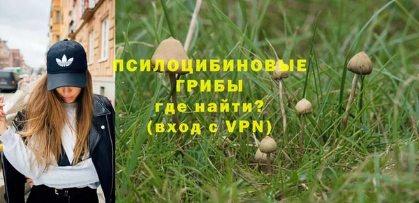 мяу мяу мука Белокуриха