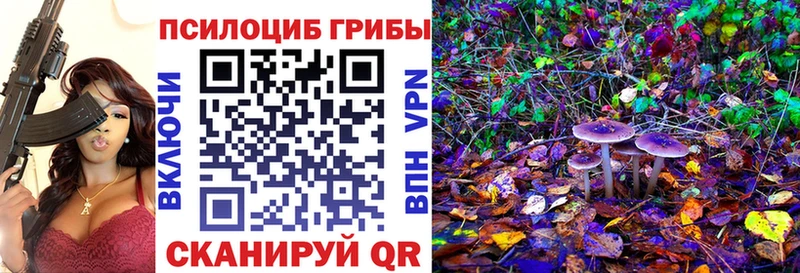 как найти закладки  Наро-Фоминск  Псилоцибиновые грибы MAGIC MUSHROOMS 